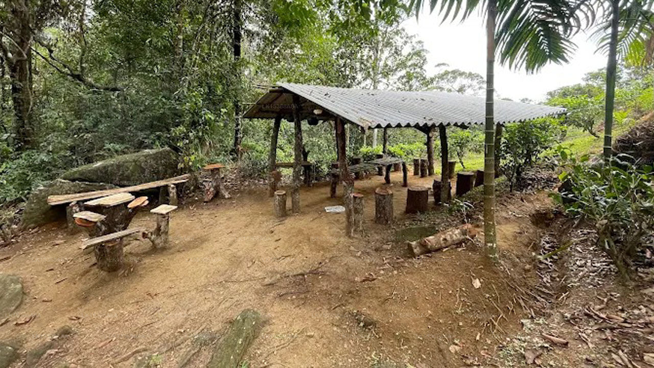 Palabaddala Tea and Eco Lodge