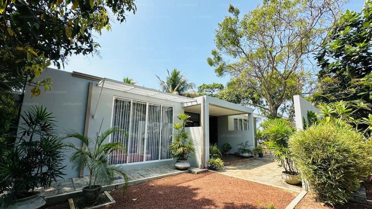 The Niche by DBI, Hikkaduwa