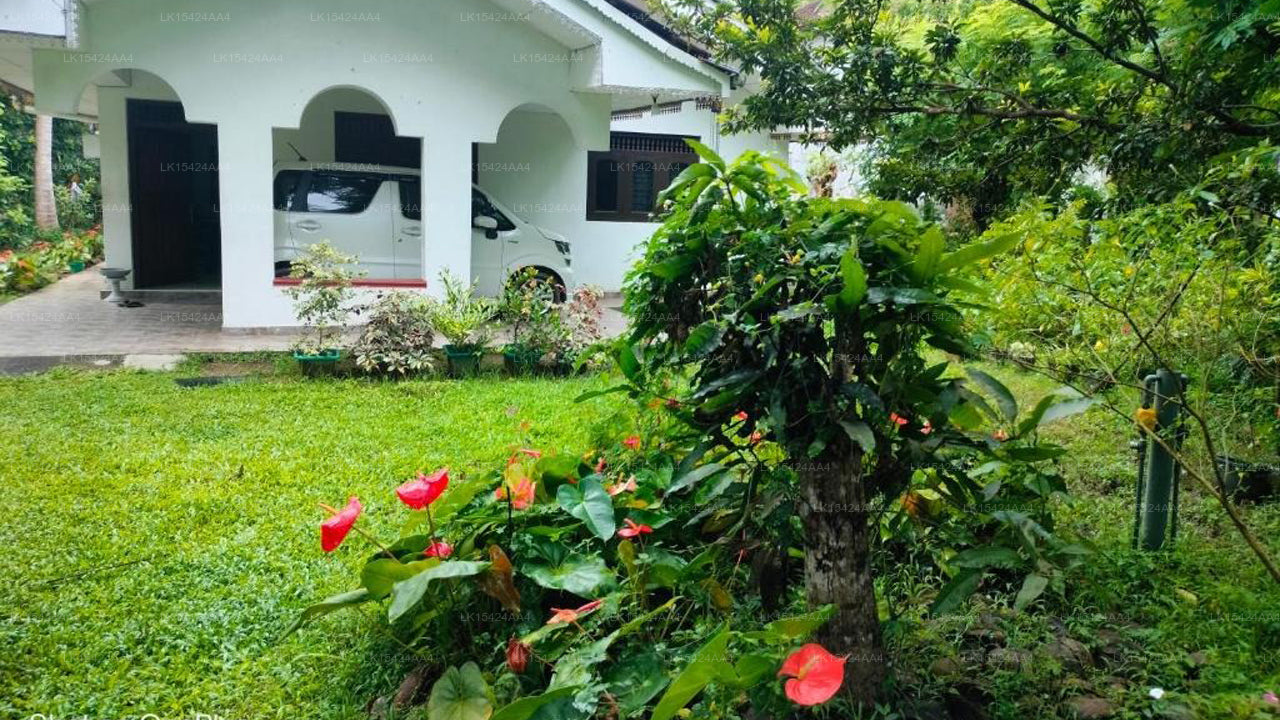 Surf Villas Weligama