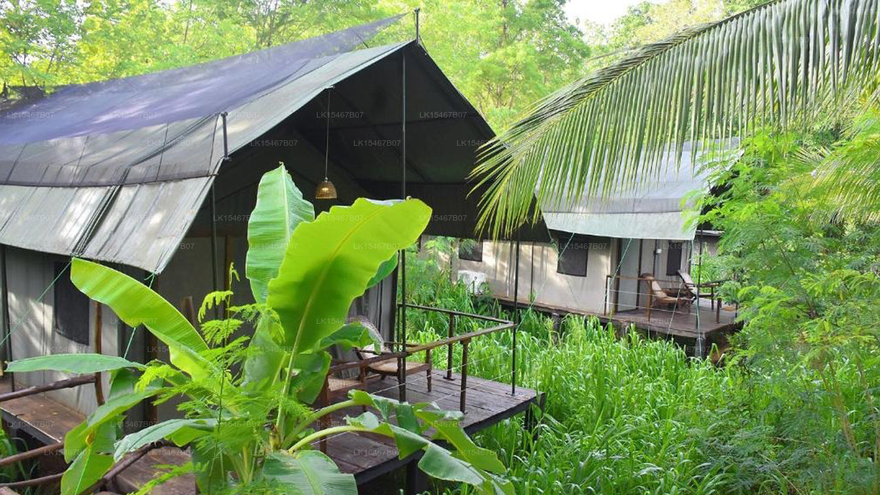 River Glamping By Gaga Bees, udawalawe