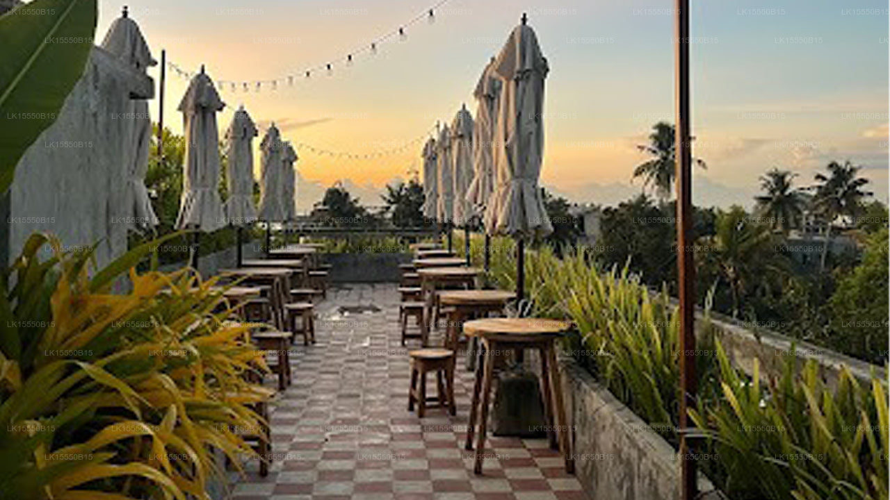 Layback Surf & Yoga Camp, Weligama