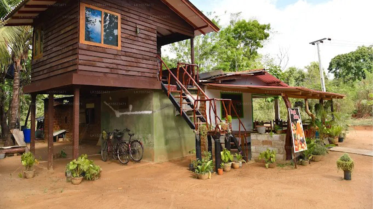 Pidurangala view Homestay, Sigiriya