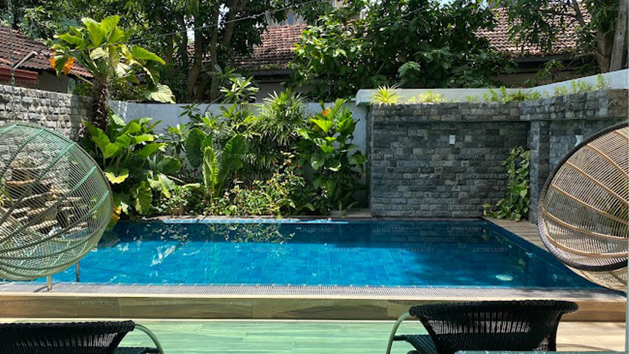 Negombo New Queen's Palace