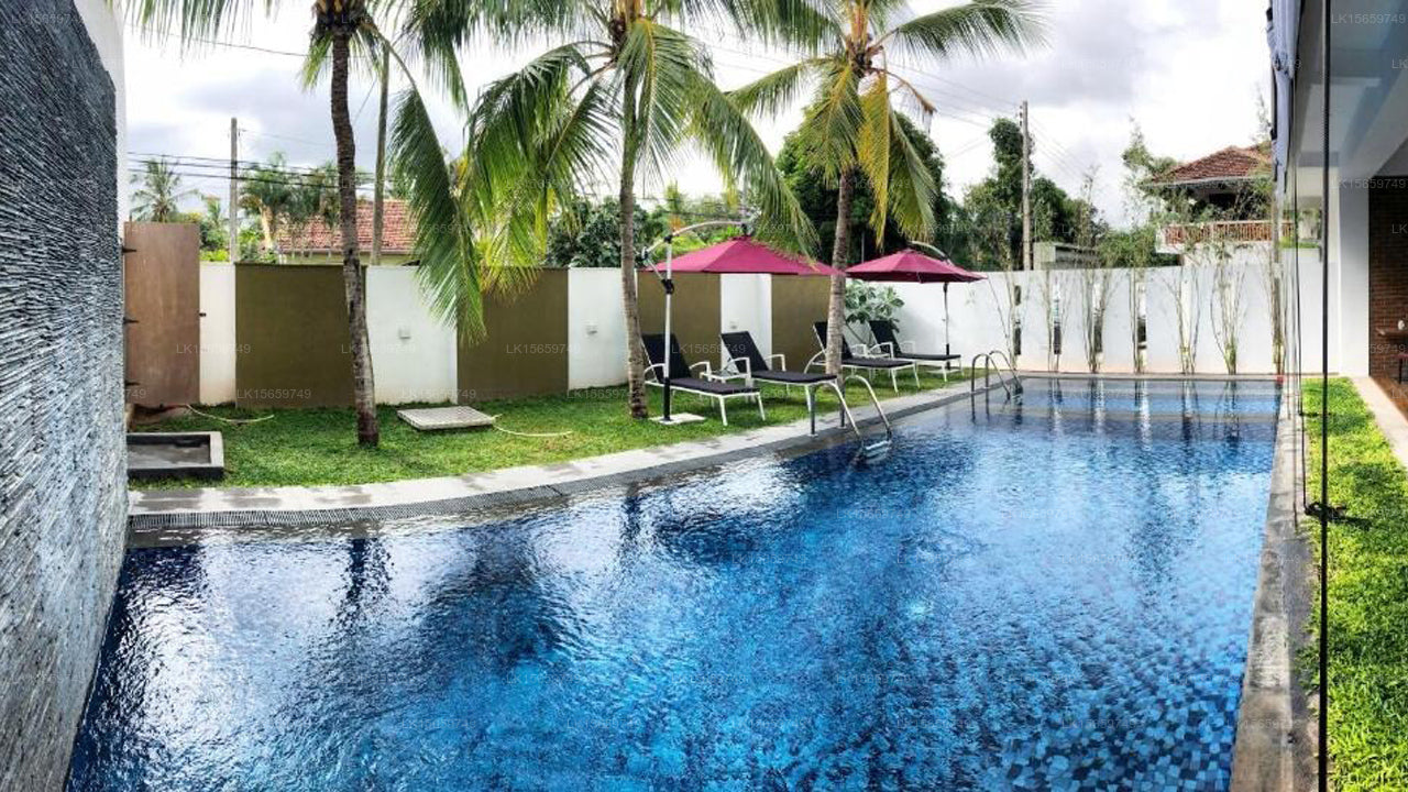 Daffodils Beach, Negombo