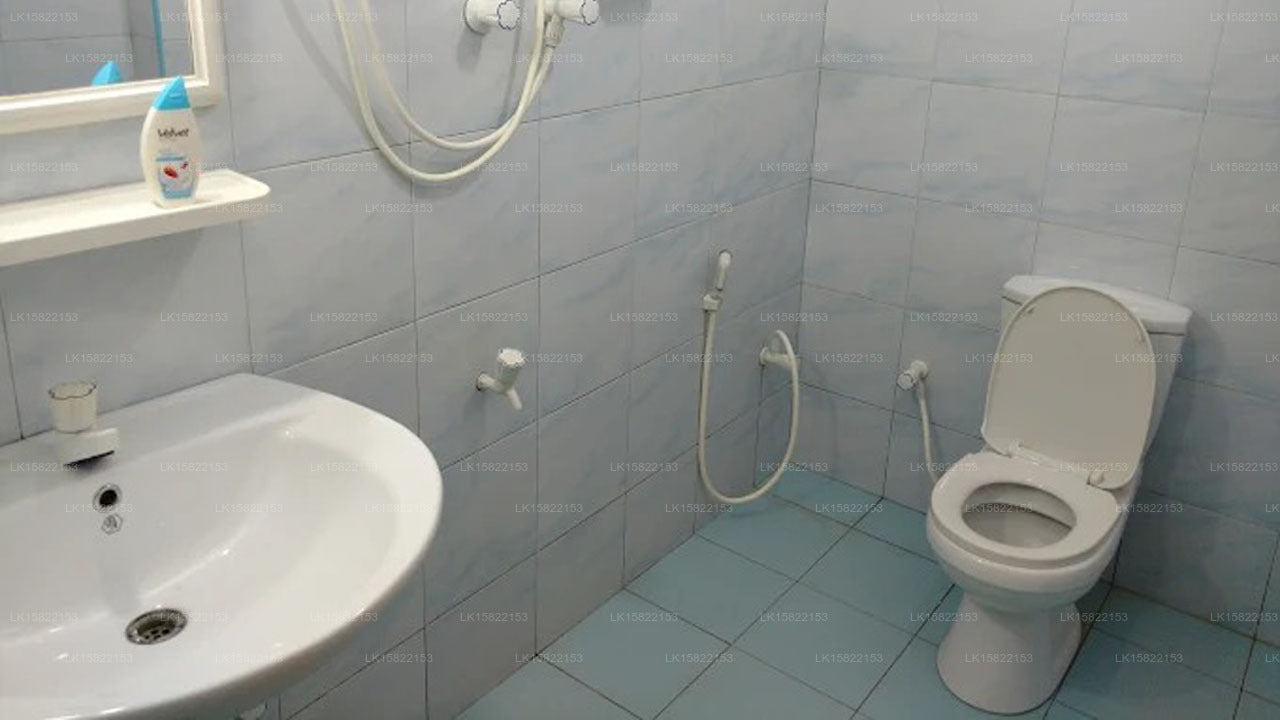 Levi's Tourist, Anuradhapura