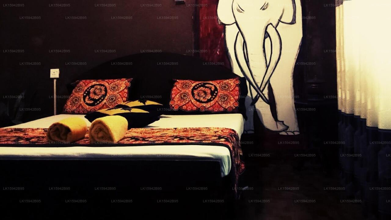 Ancient Grand Villa, Pinnawala