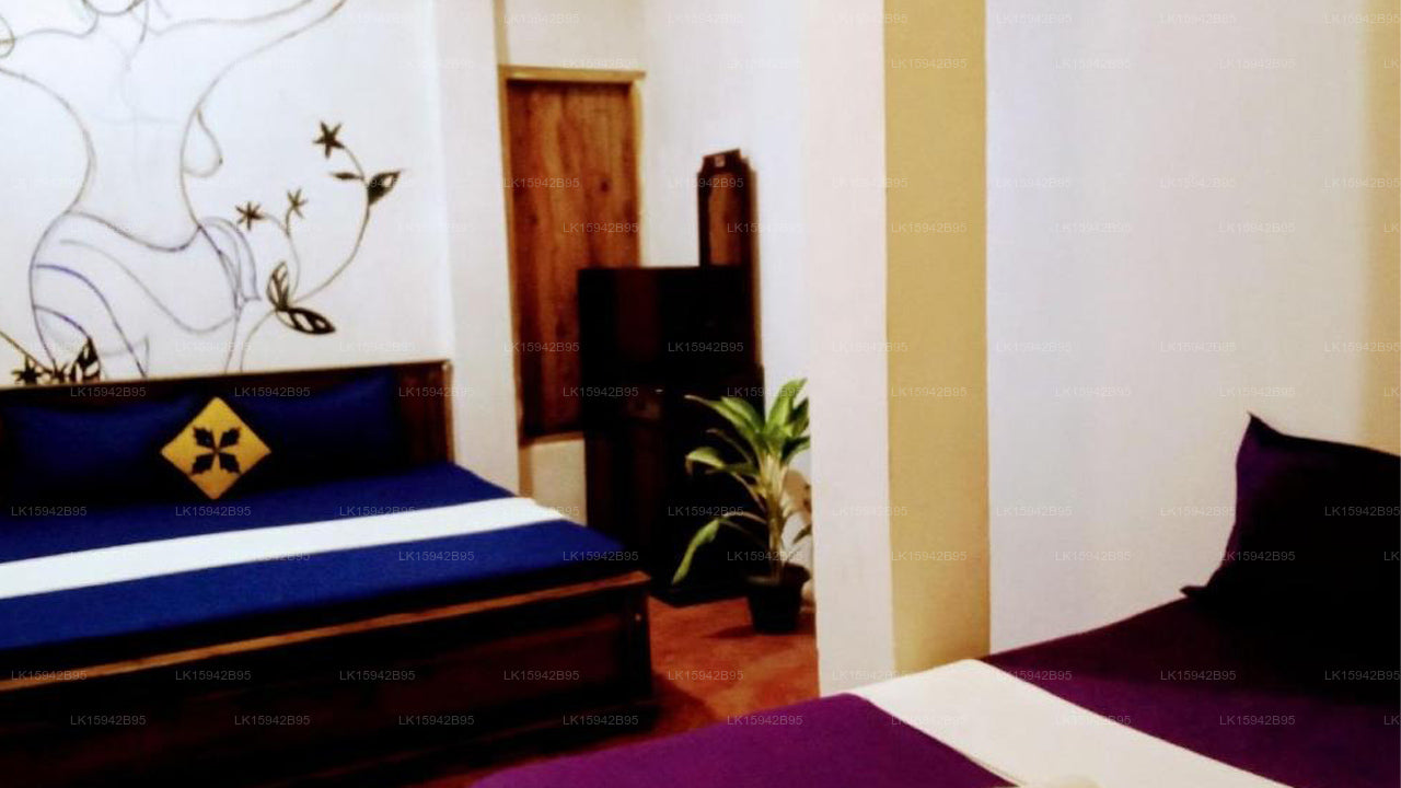 Ancient Grand Villa, Pinnawala