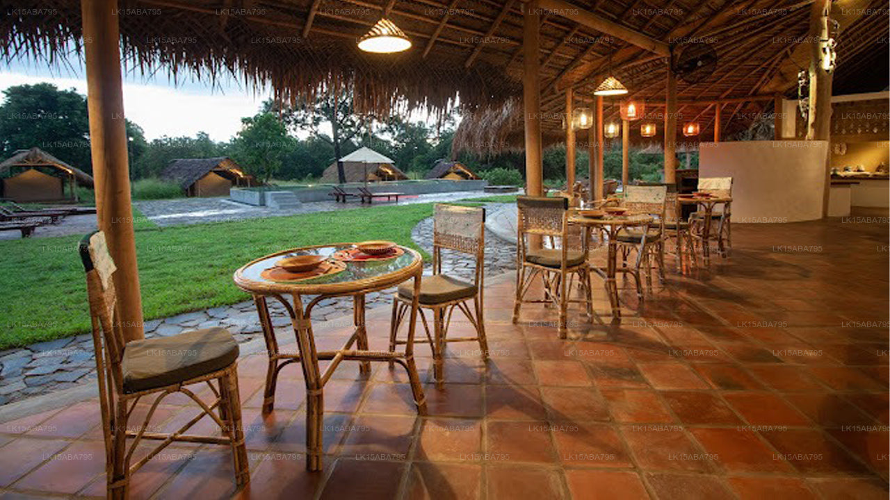 Wild Glamping Gal Oya, Galoya