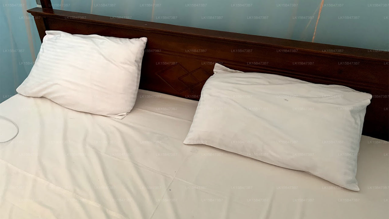 New Rani Inn, Negombo