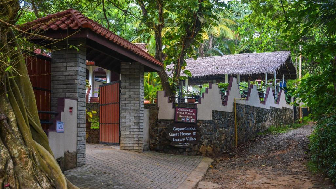 Goyambokka Guest House, Tangalle