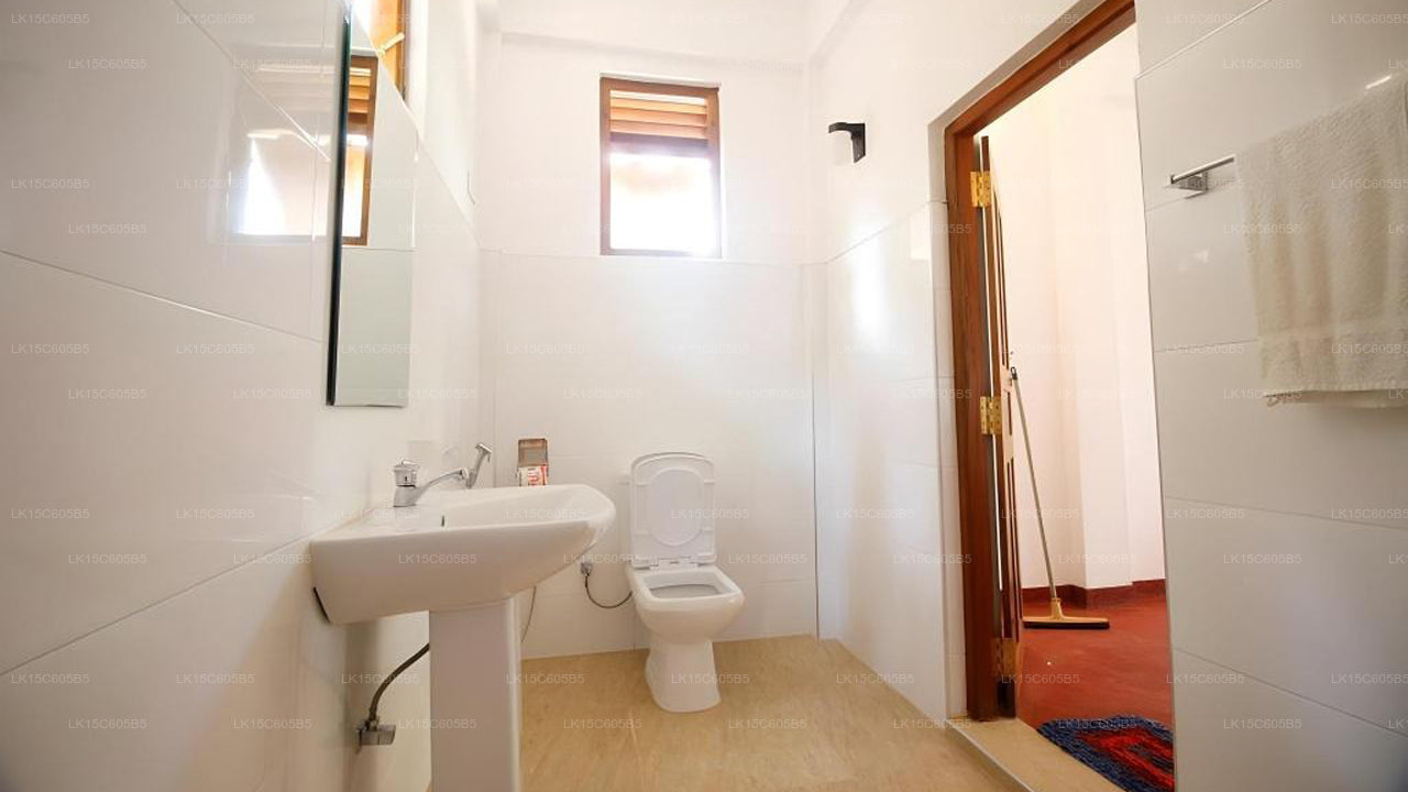 Peacock Land, Tangalle