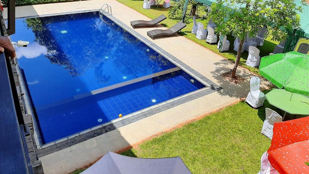 Honey Tree, Polonnaruwa