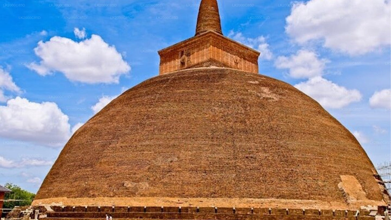 Begeleide rondleiding door het heilige gebied van Anuradhapura inclusief toegangskaarten