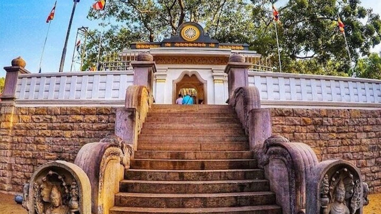 Begeleide rondleiding door het heilige gebied van Anuradhapura inclusief toegangskaarten