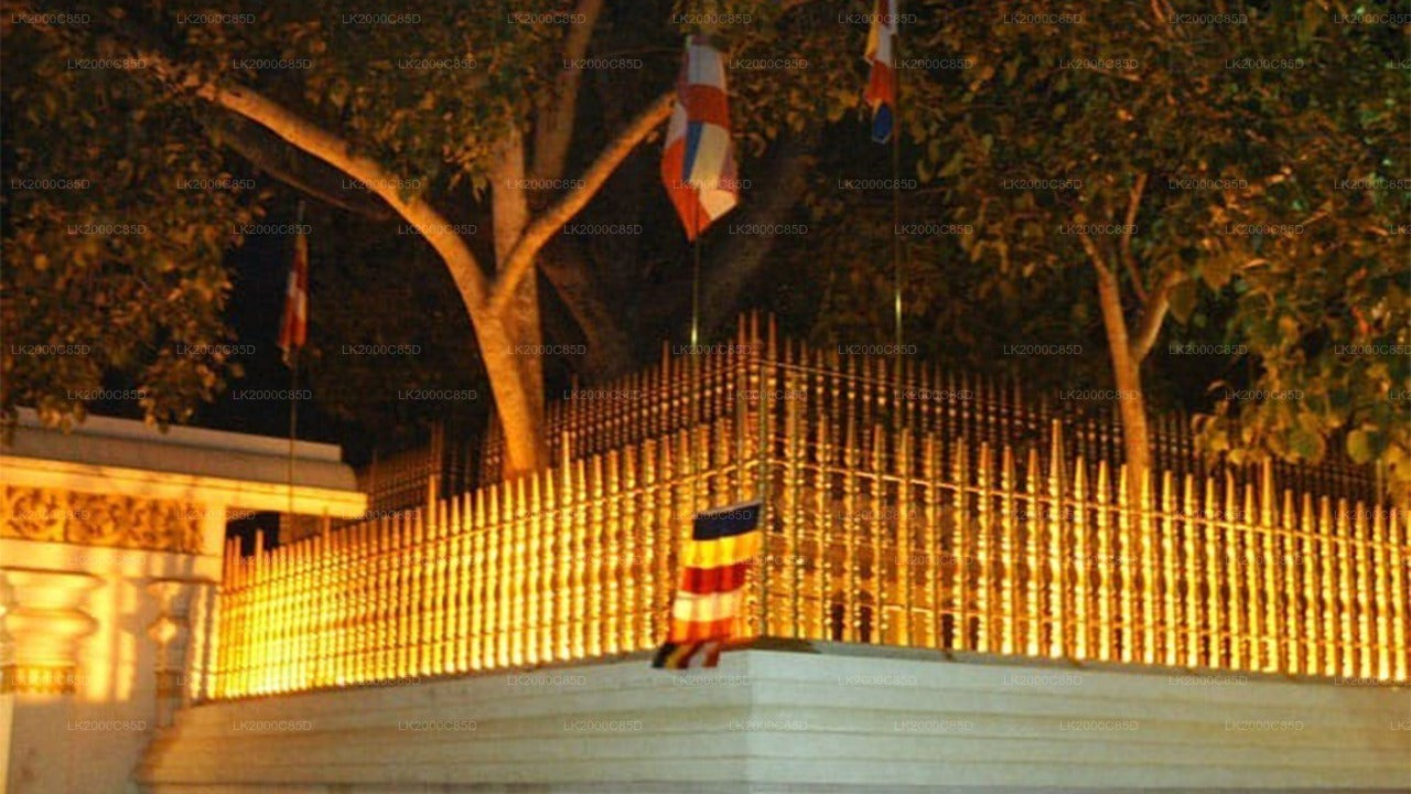 Begeleide rondleiding door het heilige gebied van Anuradhapura inclusief toegangskaarten