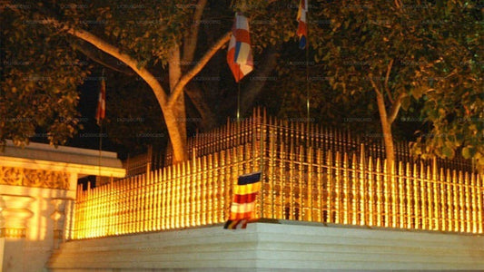 Begeleide rondleiding door het heilige gebied van Anuradhapura inclusief toegangskaarten