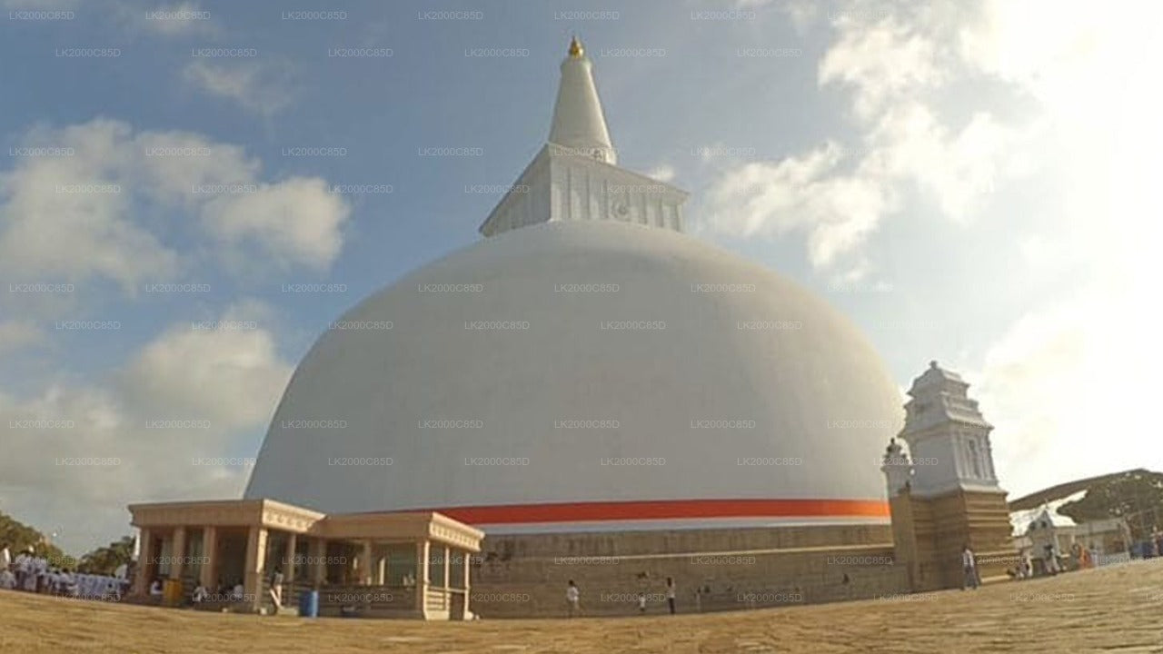 Begeleide rondleiding door het heilige gebied van Anuradhapura inclusief toegangskaarten