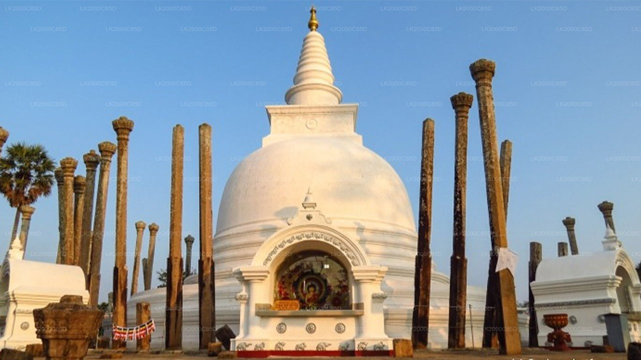 Begeleide rondleiding door het heilige gebied van Anuradhapura inclusief toegangskaarten
