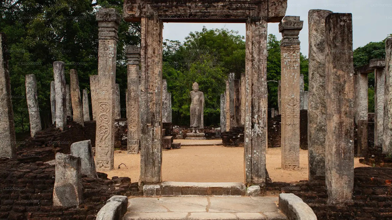 Rondleiding door de oude stad Polonnaruwa inclusief toegangskaarten