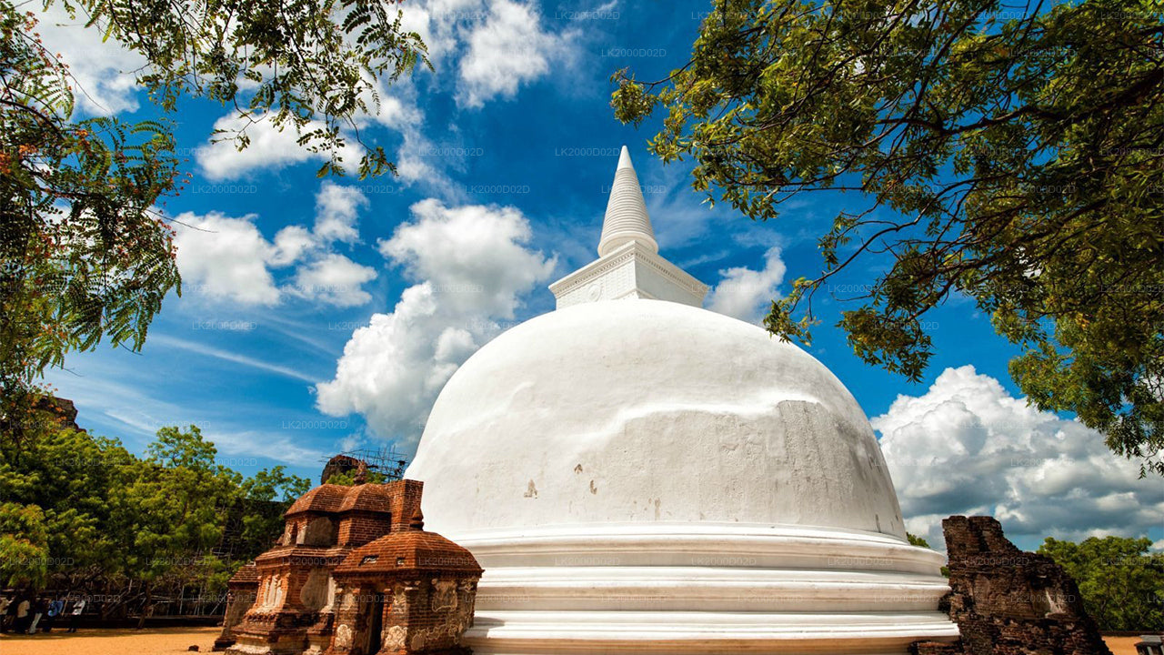 Rondleiding door de oude stad Polonnaruwa inclusief toegangskaarten