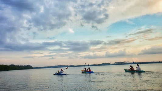 Kajaktocht door de lagune vanuit Negombo