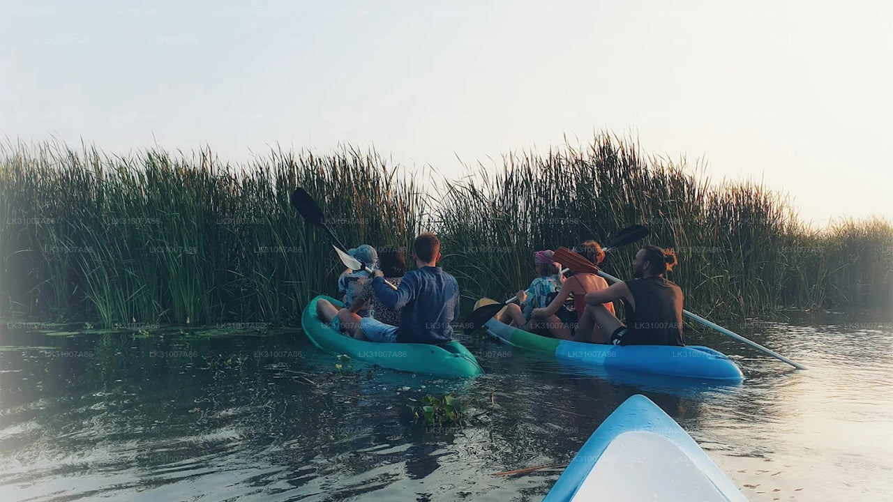 Kajaktocht door de lagune vanuit Negombo