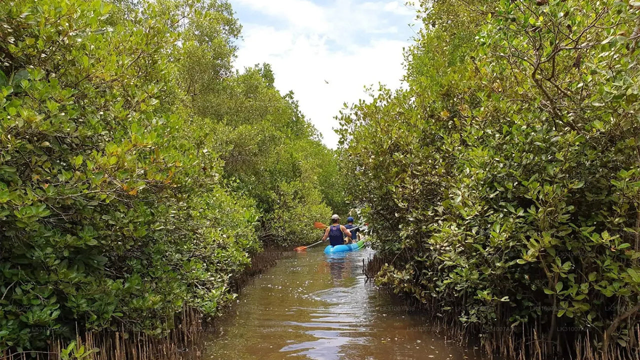 Kajaktocht door de lagune vanuit Negombo