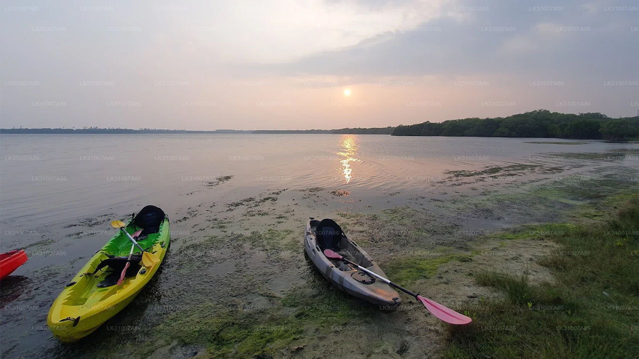 Kajaktocht door de lagune vanuit Negombo