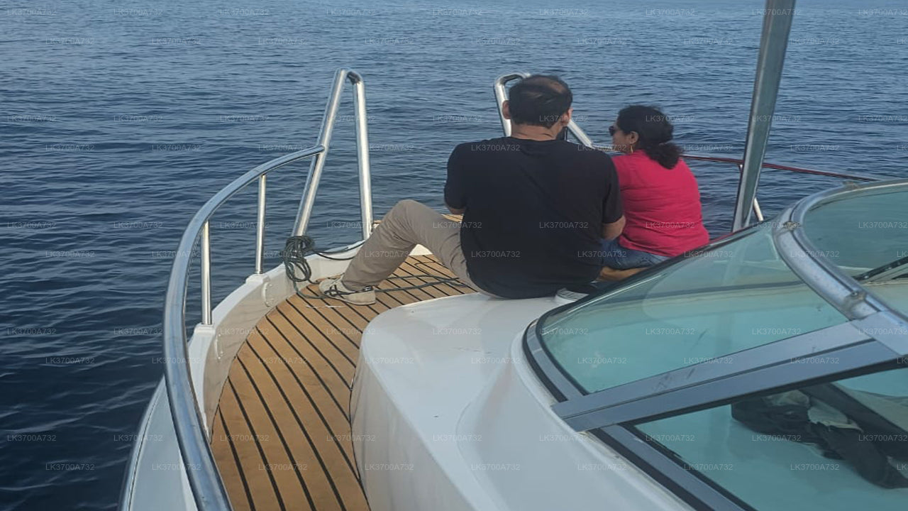 Privé walvisspotten per luxe speedboot vanuit Mirissa