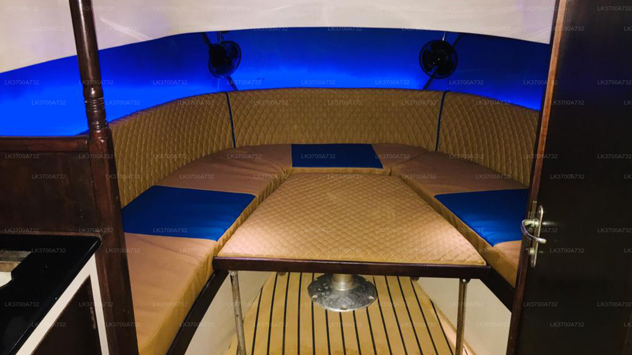 Privé walvisspotten per luxe speedboot vanuit Mirissa