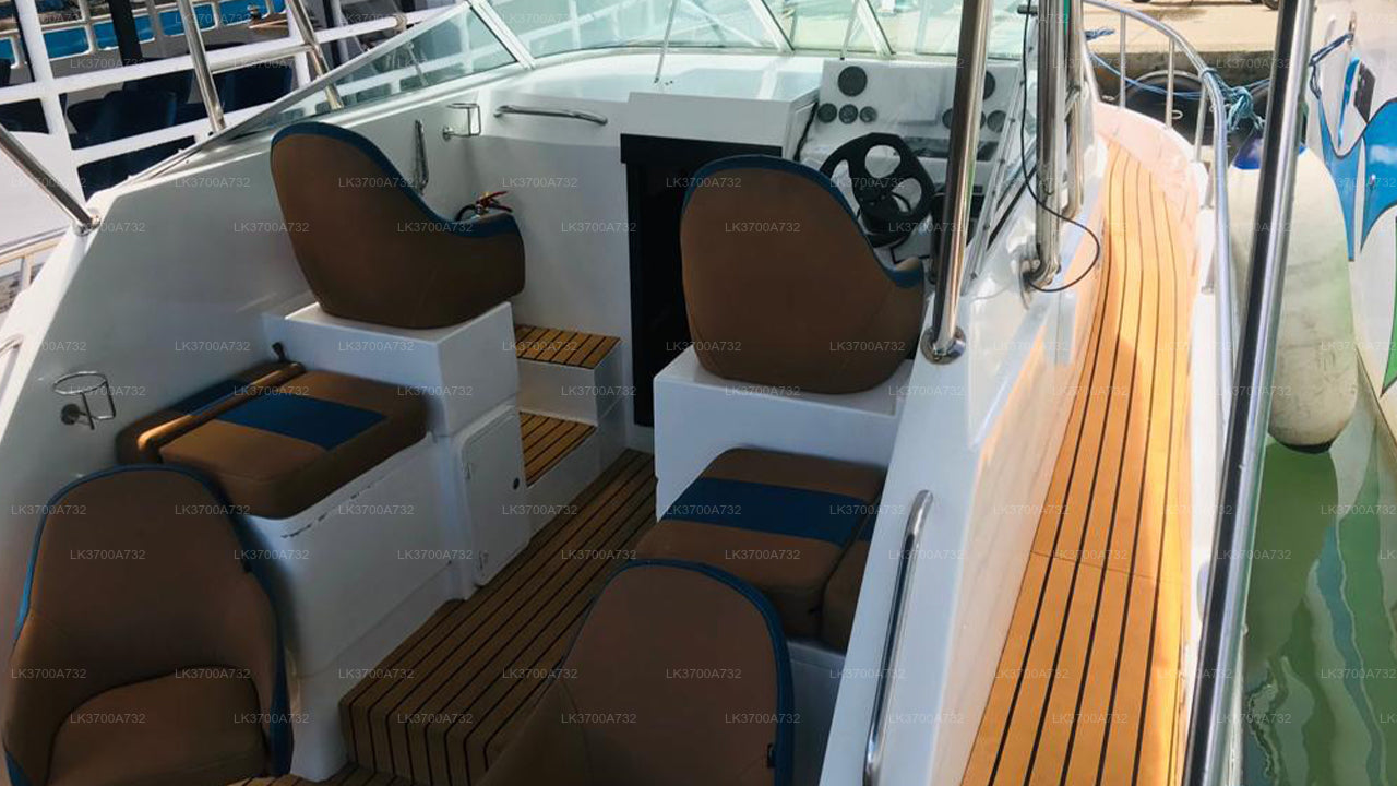 Privé walvisspotten per luxe speedboot vanuit Mirissa