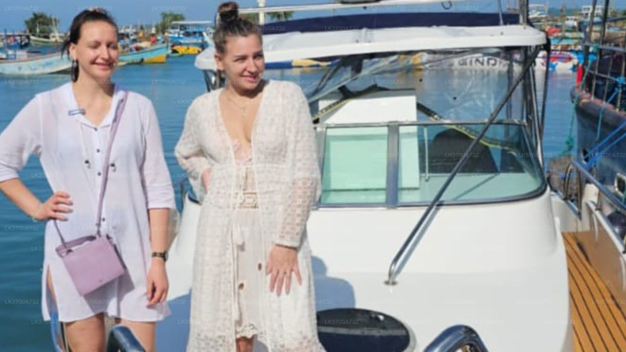 Privé walvisspotten per luxe speedboot vanuit Mirissa