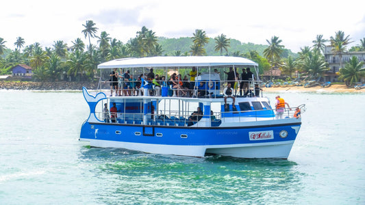 Walvissen spotten vanuit Mirissa op een gedeelde boot