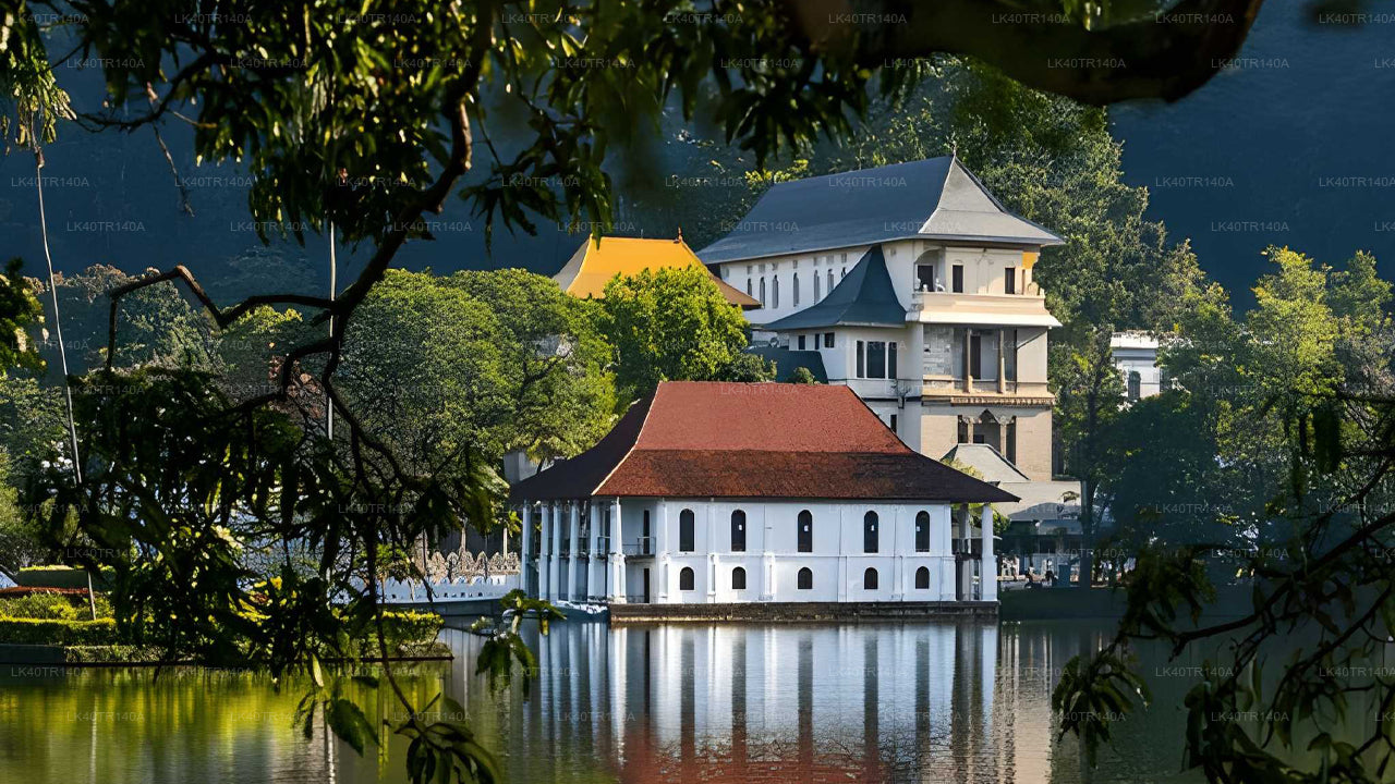 Van Ella naar Kandy: een schilderachtige reis per trein, auto of busje.