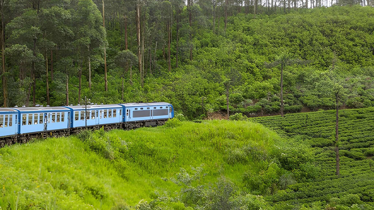 Van Ella naar Kandy: een schilderachtige reis per trein, auto of busje.