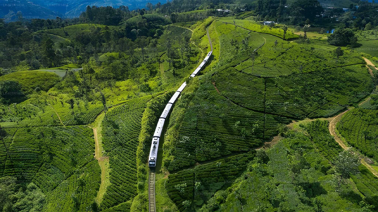 Van Ella naar Kandy: een schilderachtige reis per trein, auto of busje.