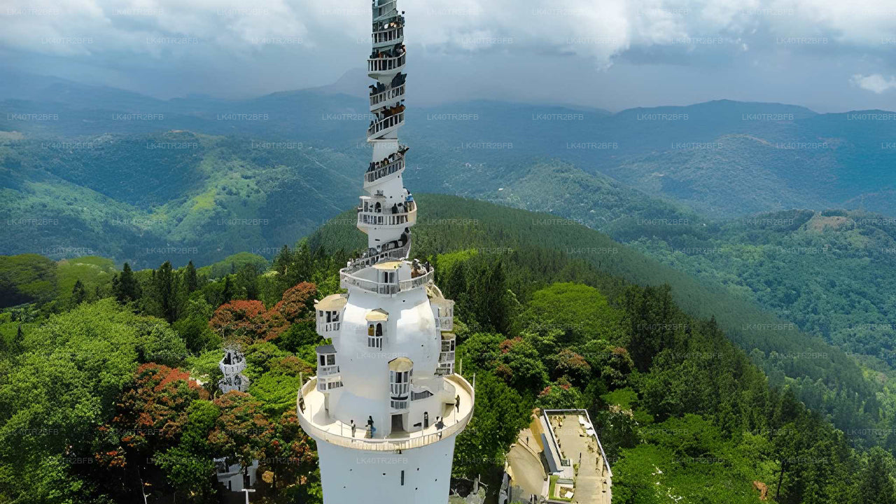 Scenic Private Transfer from Nuwara Eliya to Kandy with Sightseeing