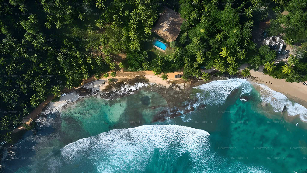 Privétransfer van Negombo naar Hiriketiya met tussenstops voor bezienswaardigheden.