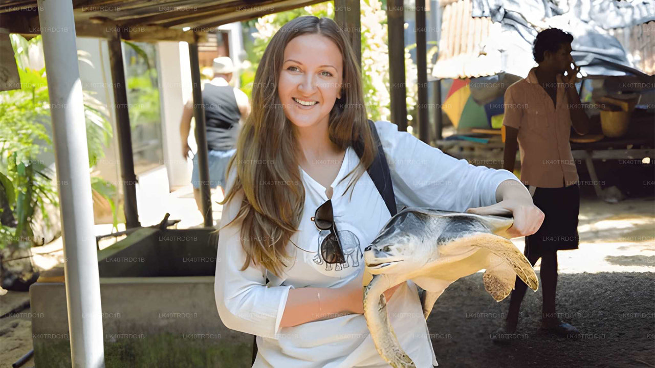 Privétransfer van Negombo naar Hiriketiya met tussenstops voor bezienswaardigheden.