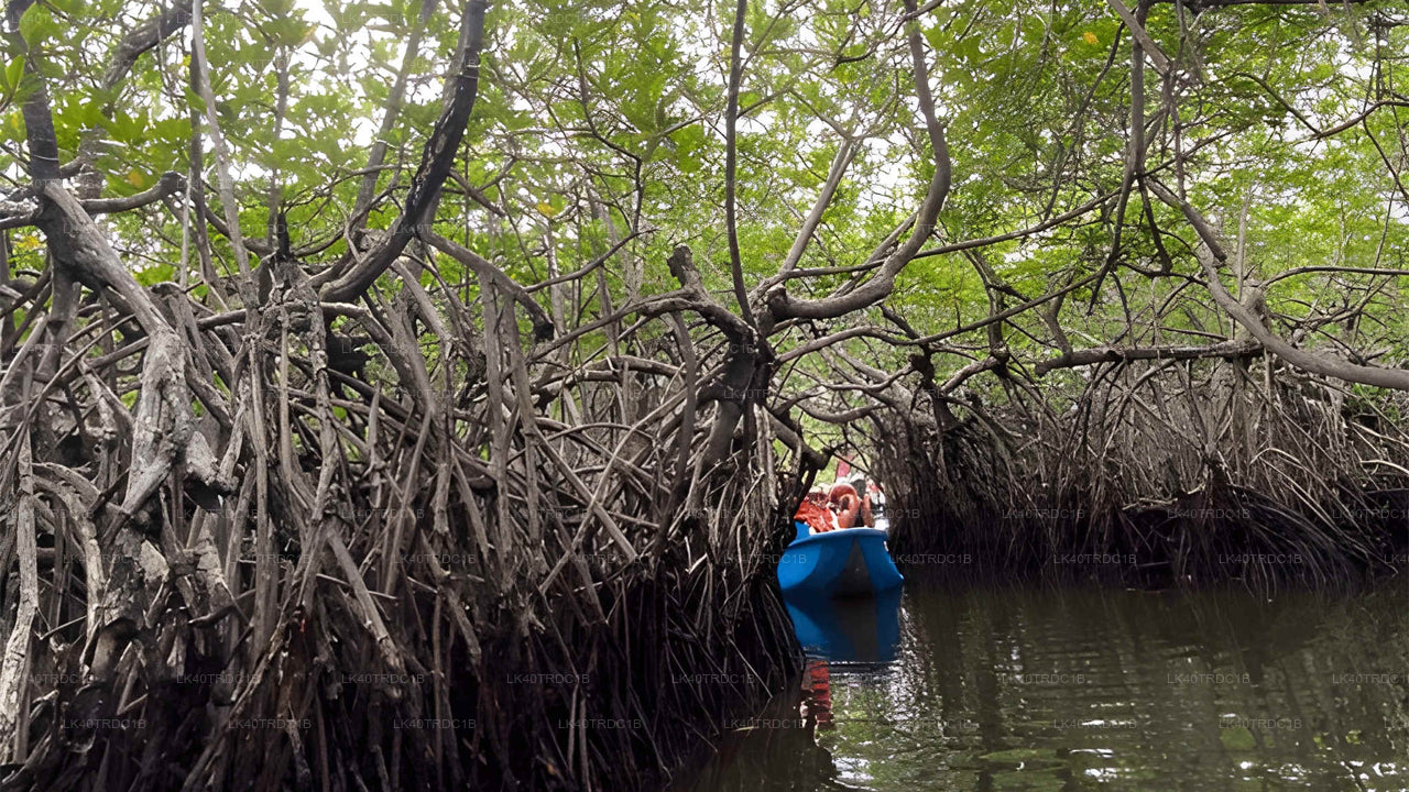 Privétransfer van Negombo naar Hiriketiya met tussenstops voor bezienswaardigheden.