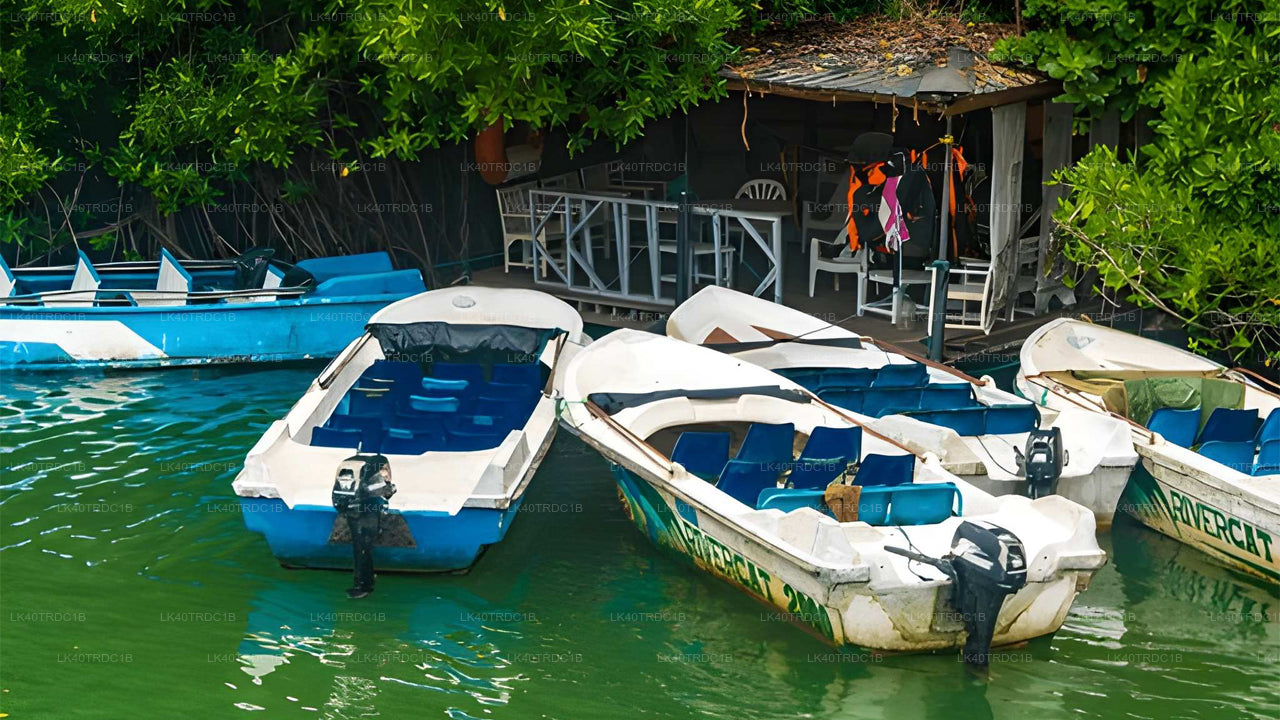 Privétransfer van Negombo naar Hiriketiya met tussenstops voor bezienswaardigheden.