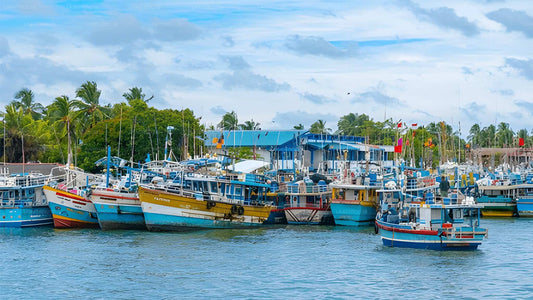 Privétransfer van Negombo naar Hiriketiya met tussenstops voor bezienswaardigheden.
