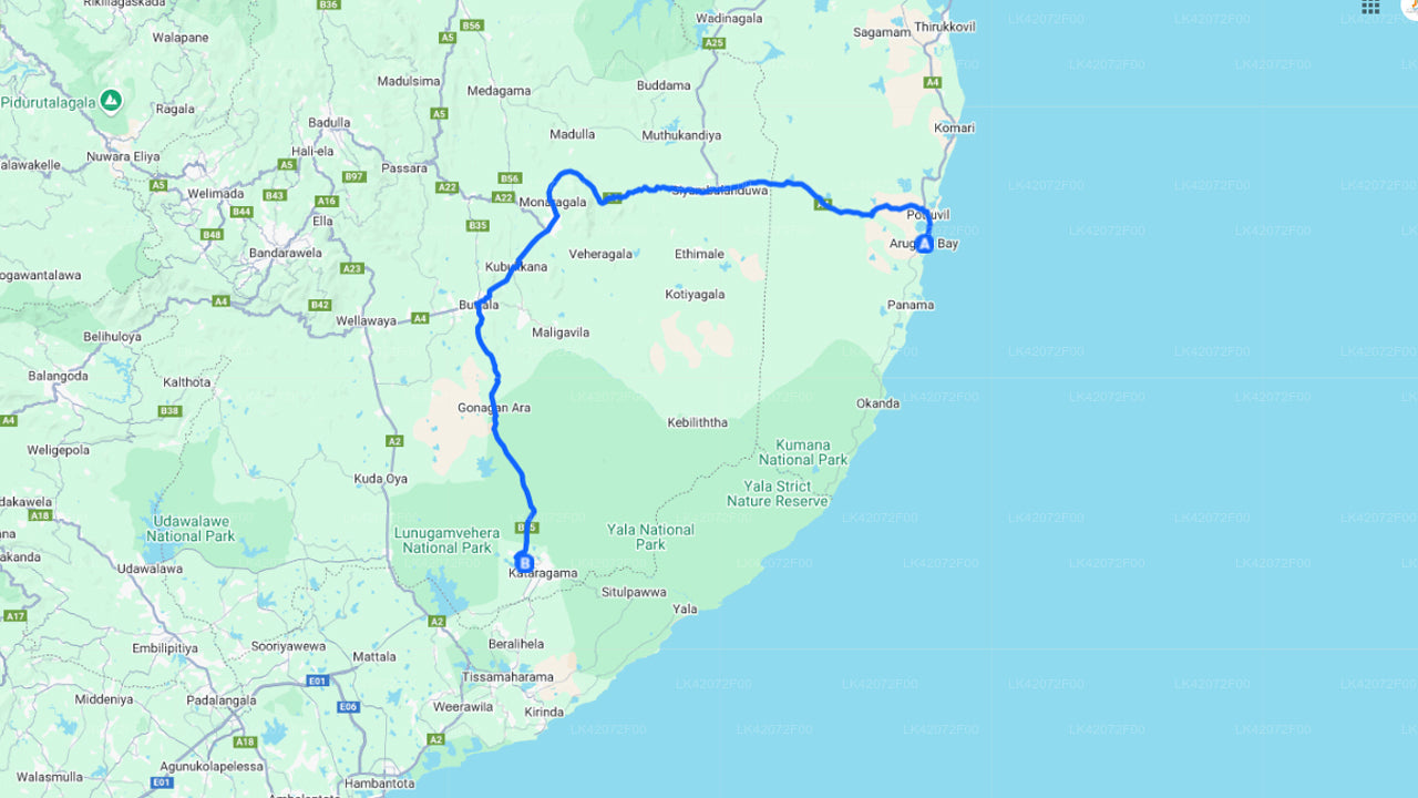 Arugam Bay City to Yala City Private Transfer