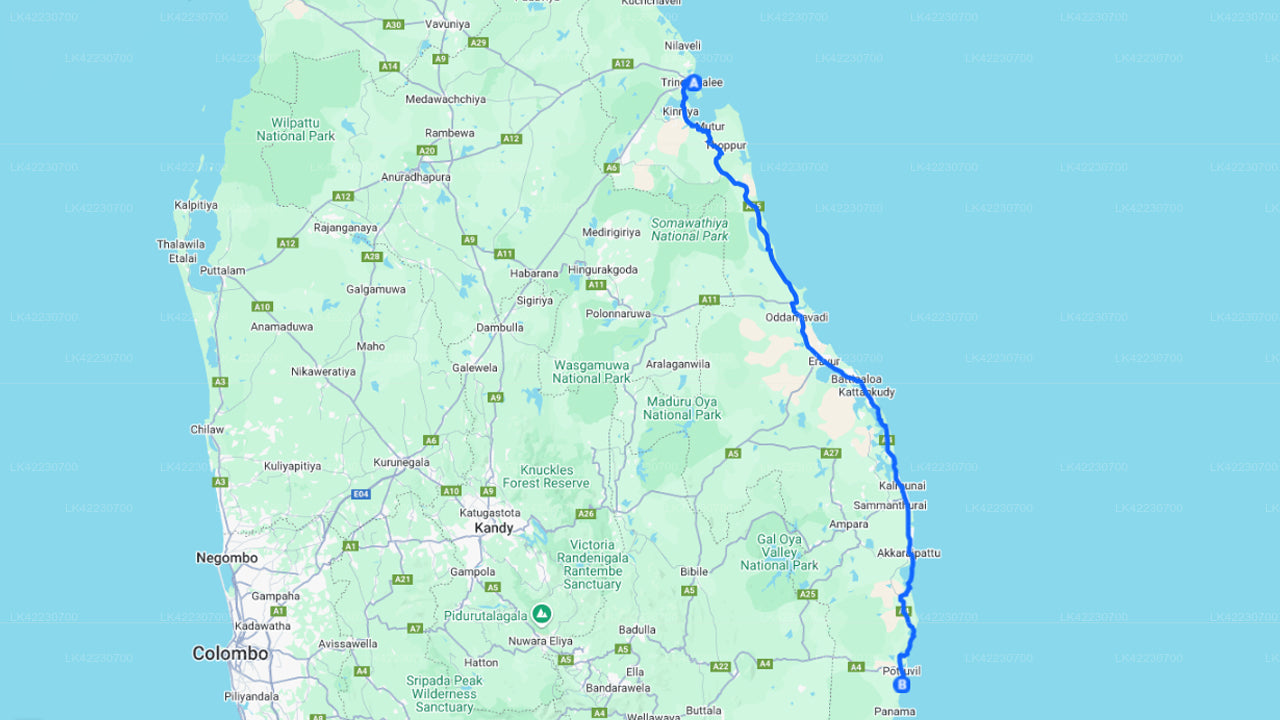 Trincomalee City to Arugam Bay City Private Transfer