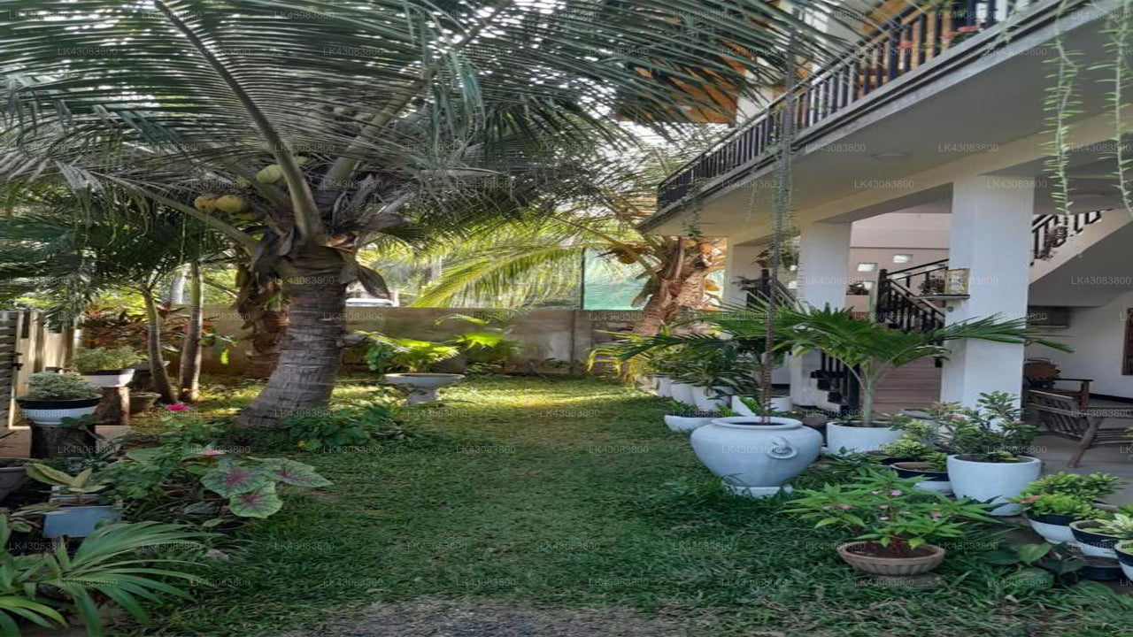 Holiday Home in, Jaffna