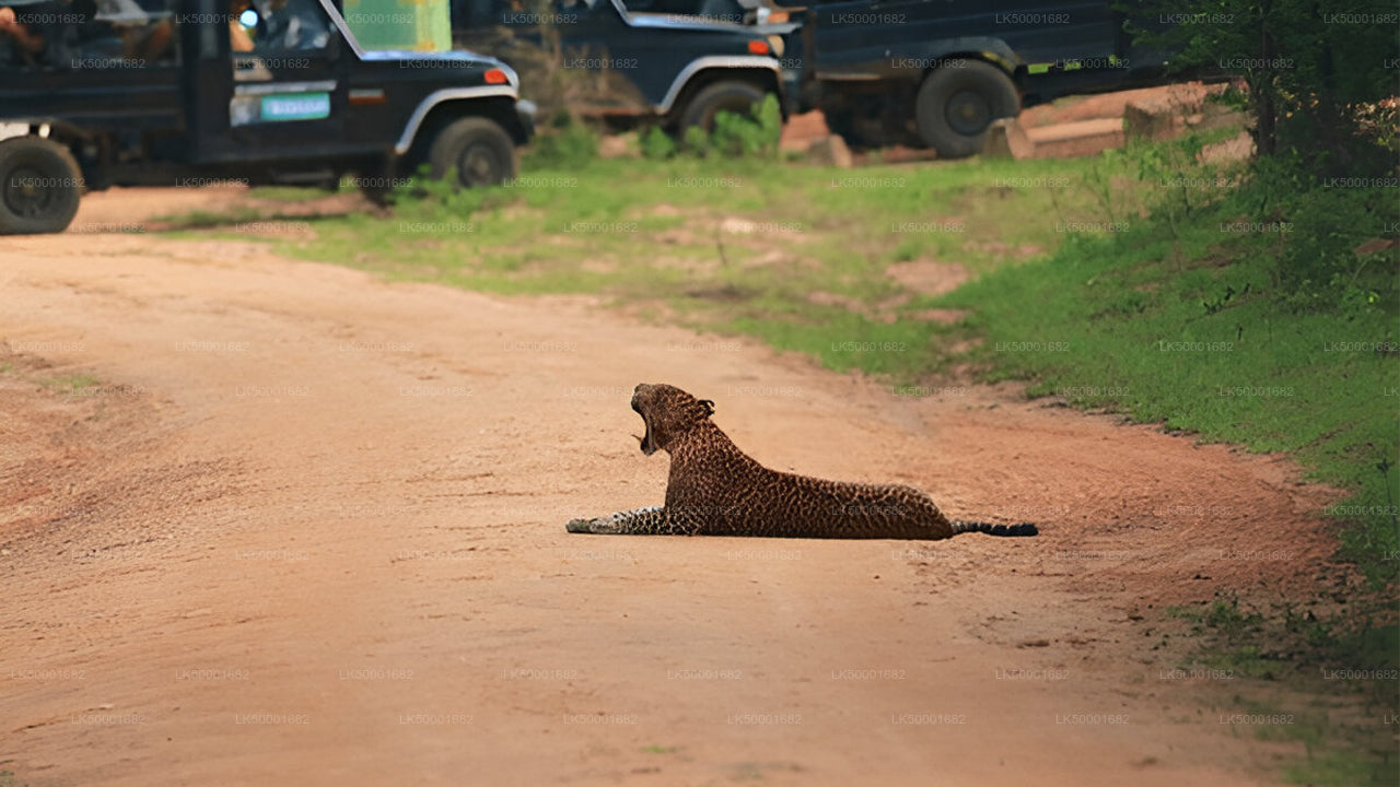 Toegangskaartje voor Nationaal Park Yala