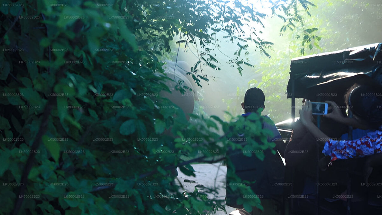 Private Tour from Polonnaruwa to Kandy with Wasgamuwa Safari