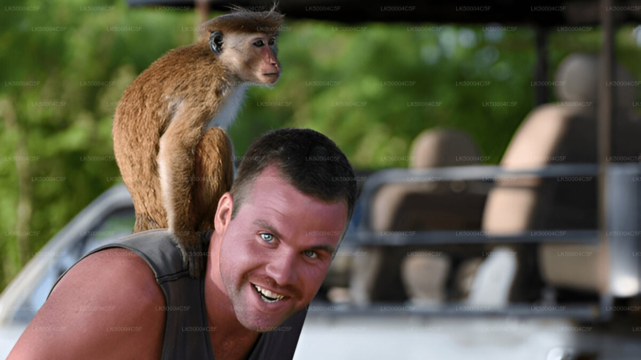 Privétour van Ella naar Weligama met Udawalawe Safari