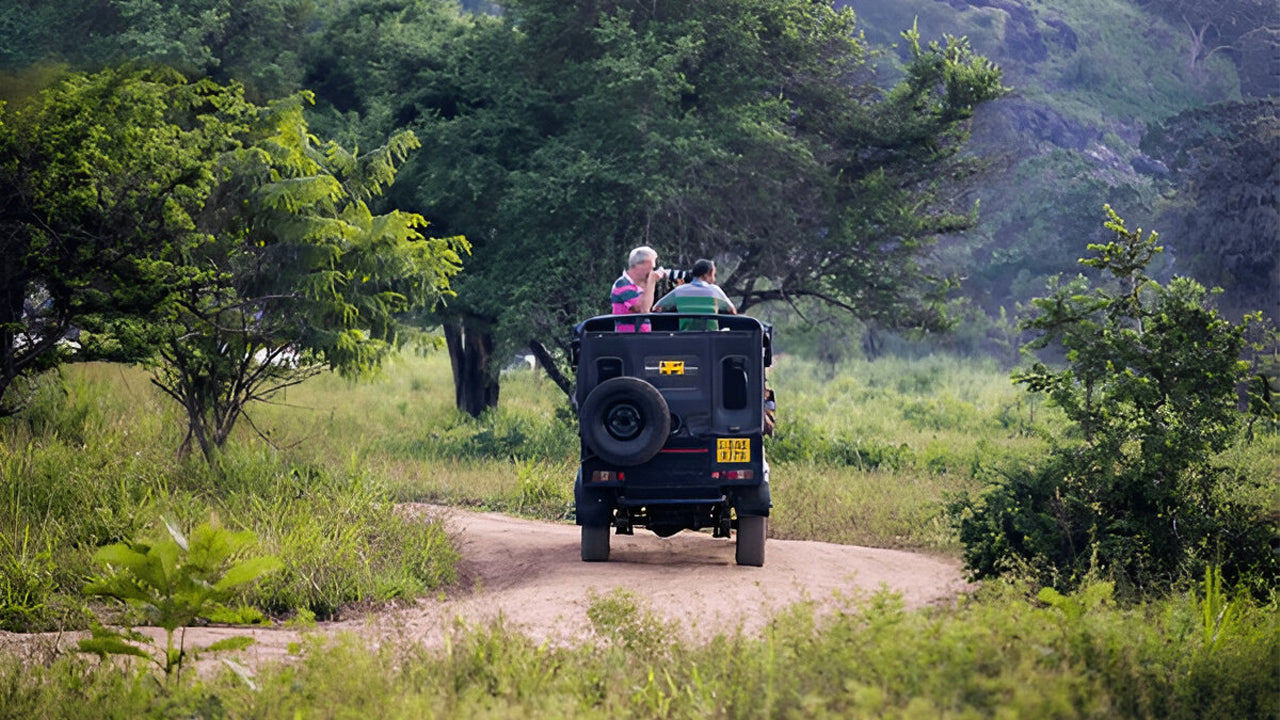 Ethische safari in Nationaal Park Yala (Blok 5)