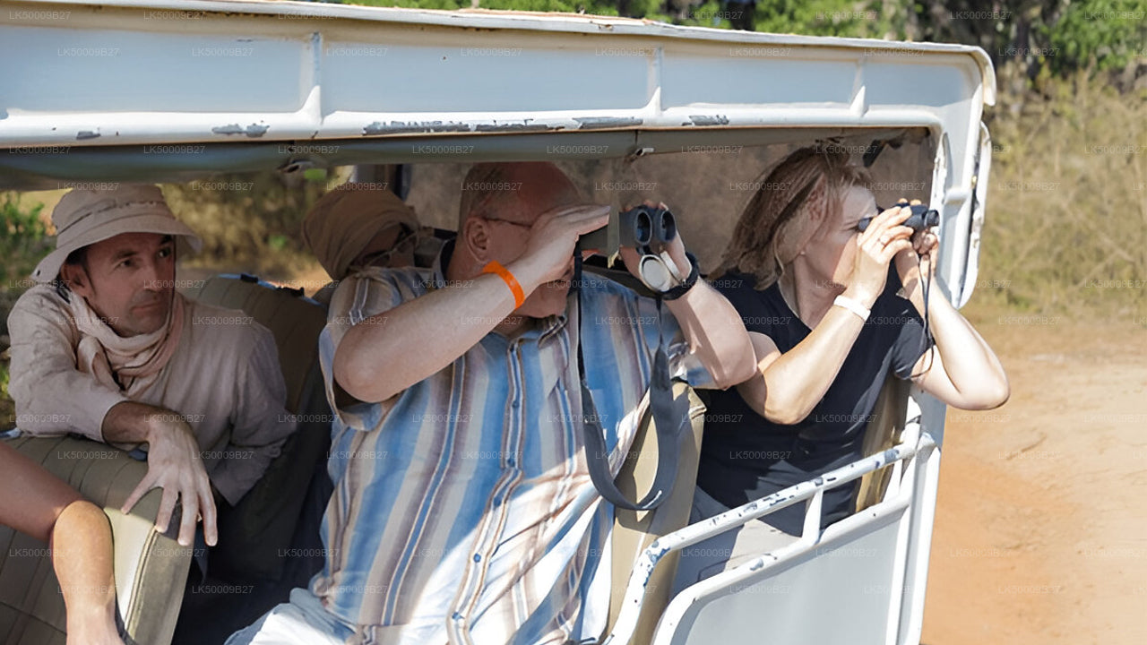 Privétour van Weligama naar Ella met Yala Safari